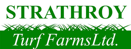 strathroy turf farms logo